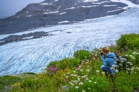 Photographing the many wildflowers above Worthington Glacier.